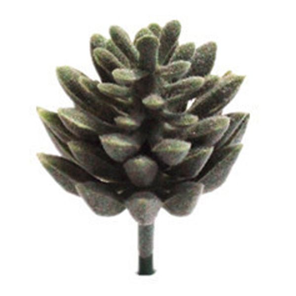simulation creative succulent bonsai pgraphy props home office deskdisplay decor artificial lifelike plants
simulation creative succulent bonsai pgraphy props home office deskdisplay decor artificial lifelike plants