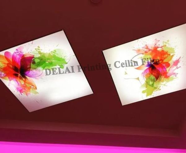 fantasy color printing ceiling film fastinating stretch ceiling film 
fantasy color printing ceiling film fastinating stretch ceiling film
