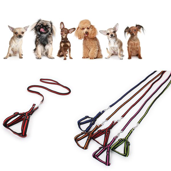 new dog collar with bell dog collar for dogs puppy collars pet puppy adjustable nylon lead leash traction rope pet supplies
new dog collar with bell dog collar for dogs puppy collars pet puppy adjustable nylon lead leash traction rope pet supplies