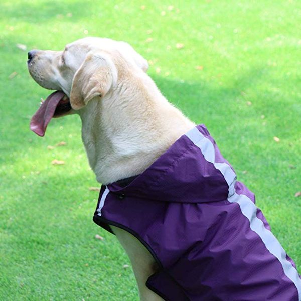 pet dog raincoat reflective dog vest jacket for small medium large dogs waterproof clothes outdoor pet jacket ropa para perros
pet dog raincoat reflective dog vest jacket for small medium large dogs waterproof clothes outdoor pet jacket ropa para perros