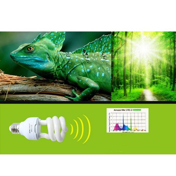 13w рептилия uvb 5,0 / 10,0 энергосберегающие лампы ультрафиолетовые sun light для tortoise lizard кальция сочной reptile supplies
13w рептилия uvb 5,0 / 10,0 энергосберегающие лампы ультрафиолетовые sun light для tortoise lizard кальция сочной reptile supplies