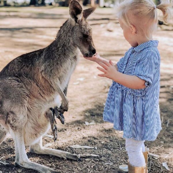 1-6t toddler kids baby girls clothes long sleeve stripe dress casual dresses sundress
1-6t toddler kids baby girls clothes long sleeve stripe dress casual dresses sundress