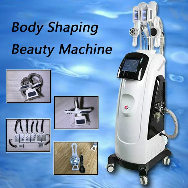 2020 new 2 handles cryolipolysis fat ing slimming machine weight loss fast fat removal cryolipolysis machine
2020 new 2 handles cryolipolysis fat ing slimming machine weight loss fast fat removal cryolipolysis machine