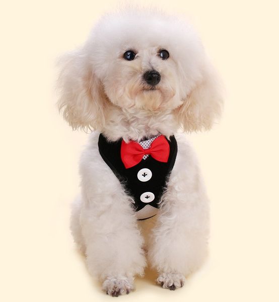 малые собаки проводка ткани собаки жилет вечернее платье бабочка bow tie puppy coat поводки лета pet одежда 12 designs dhl free lqpyw1117
малые собаки проводка ткани собаки жилет вечернее платье бабочка bow tie puppy coat поводки лета pet одежда 12 designs dhl free lqpyw1117