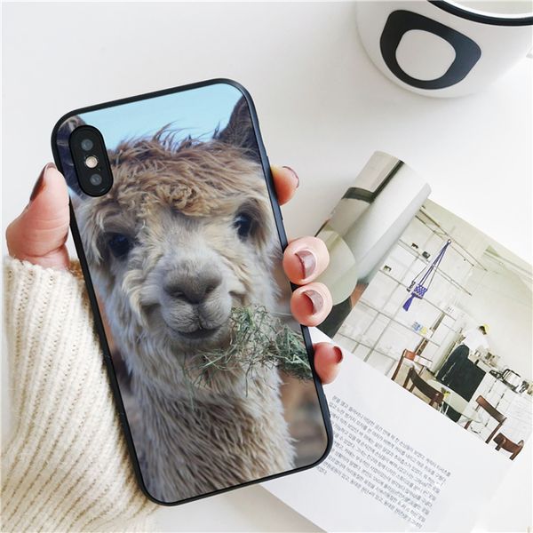 coque luxury lama alpaca smiling cover for iphone 11 pro xs max xr case for iphone 8 7 6s plus 5s se case soft silicone cover.
coque luxury lama alpaca smiling cover for iphone 11 pro xs max xr case for iphone 8 7 6s plus 5s se case soft silicone cover.