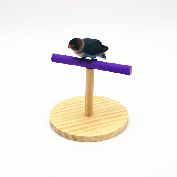 parrot bird toys office woodiness matting stand bird toys woodiness and matting good color random
parrot bird toys office woodiness matting stand bird toys woodiness and matting good color random