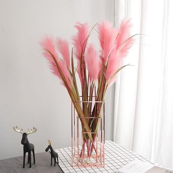 natural dried pampas grass fake flowers wedding flower bunch for home decor rated dried flowers pampas grass decor
natural dried pampas grass fake flowers wedding flower bunch for home decor rated dried flowers pampas grass decor