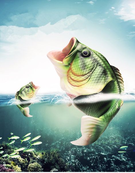 2020 summer fish slippers creative couple fish mouth slippers parent-child slippers beach shoes fish shoes package mail, Black
2020 summer fish slippers creative couple fish mouth slippers parent-child slippers beach shoes fish shoes package mail, Black
