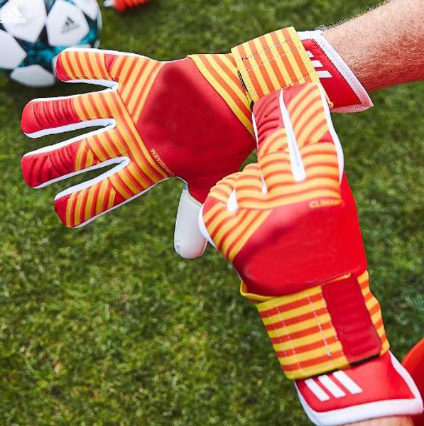 Luvas de Esportes zk1688