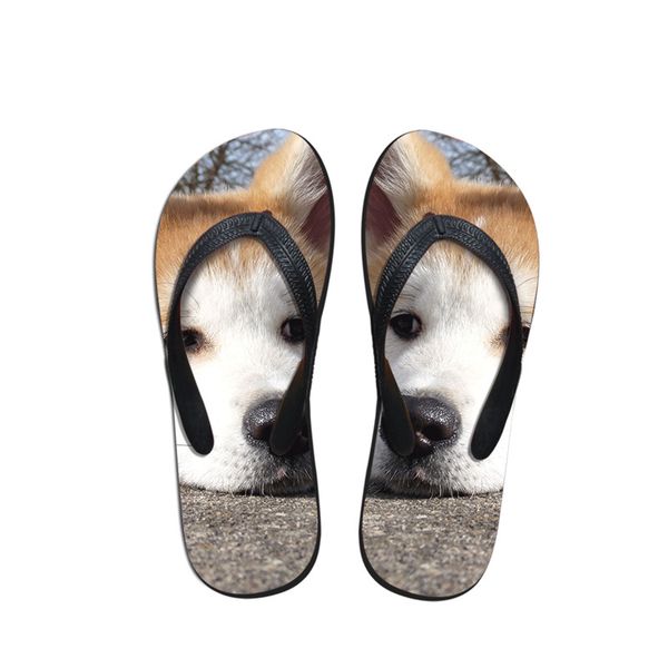 new flip flops 2019 fashion casual summer beach for woman slippers sandals flats shoes interesting akita dog creative print, Black
new flip flops 2019 fashion casual summer beach for woman slippers sandals flats shoes interesting akita dog creative print, Black