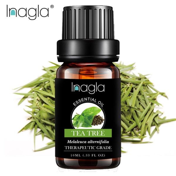inagla tea tree essential oil pure natural 10ml pure essential oils aromatherapy diffusers oil healthy immune air fresh care
inagla tea tree essential oil pure natural 10ml pure essential oils aromatherapy diffusers oil healthy immune air fresh care
