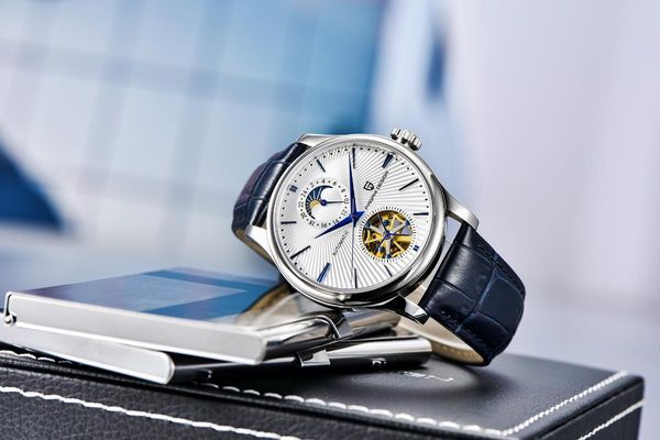 nuevos relojes pagani de diseño de lujo para hombre, relojes automáticos acero inoxidable, reloj pulsera mecánico resisten, Slivery;brown
nuevos relojes pagani de diseño de lujo para hombre, relojes automáticos acero inoxidable, reloj pulsera mecánico resisten, Slivery;brown