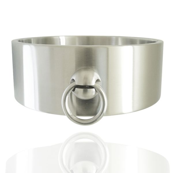 acechannel heavy duty stainless steel locking slave collar fetish choker desire necklace choker initial necklace, Silver
acechannel heavy duty stainless steel locking slave collar fetish choker desire necklace choker initial necklace, Silver