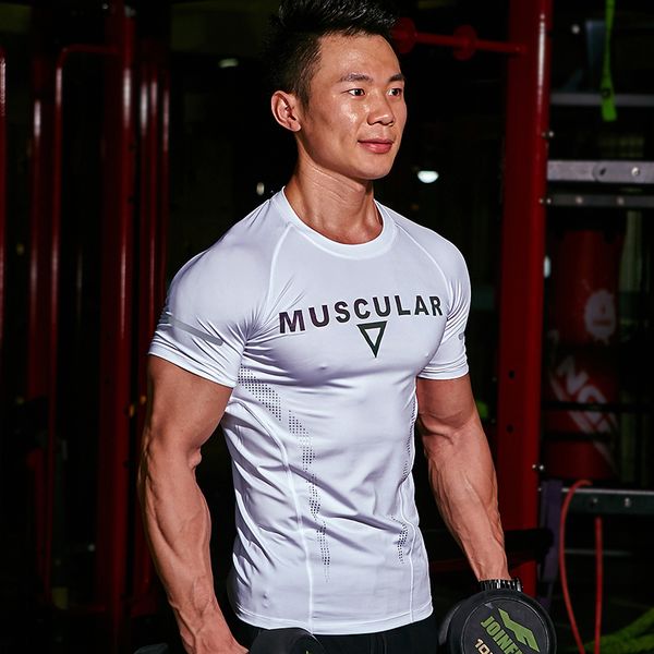 gym shirt sport t shirt men short sleeve running men workout training tees fitness sport t-shirt, Black;blue
gym shirt sport t shirt men short sleeve running men workout training tees fitness sport t-shirt, Black;blue