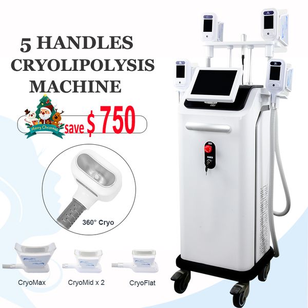 2019 cryolipolysis slimming fat ing machine cool body shaping system lipo cryo treatment cryo lipolysis anti cellulite device
2019 cryolipolysis slimming fat ing machine cool body shaping system lipo cryo treatment cryo lipolysis anti cellulite device