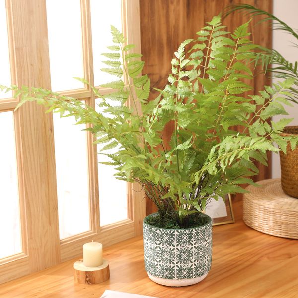 floor potted tree artificial silk plant persian fern grass lysimachia home decorative fake plants
floor potted tree artificial silk plant persian fern grass lysimachia home decorative fake plants