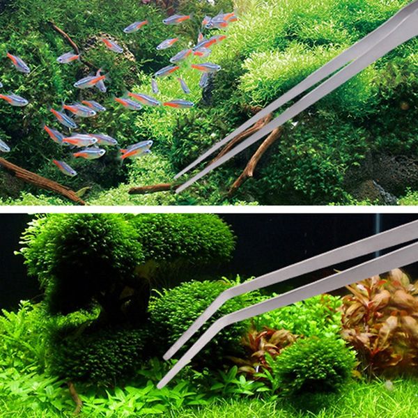 1pcs 500mm long aquarium fish tank plastic aquatic planting clip feeding clip tweezer pliers aquarium cleaning tool accessory py
1pcs 500mm long aquarium fish tank plastic aquatic planting clip feeding clip tweezer pliers aquarium cleaning tool accessory py