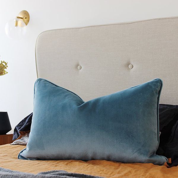 soft light blue velvet cushion cover pillow case bed sofa chair pillow cover piping design no balling-up without stuffing
soft light blue velvet cushion cover pillow case bed sofa chair pillow cover piping design no balling-up without stuffing