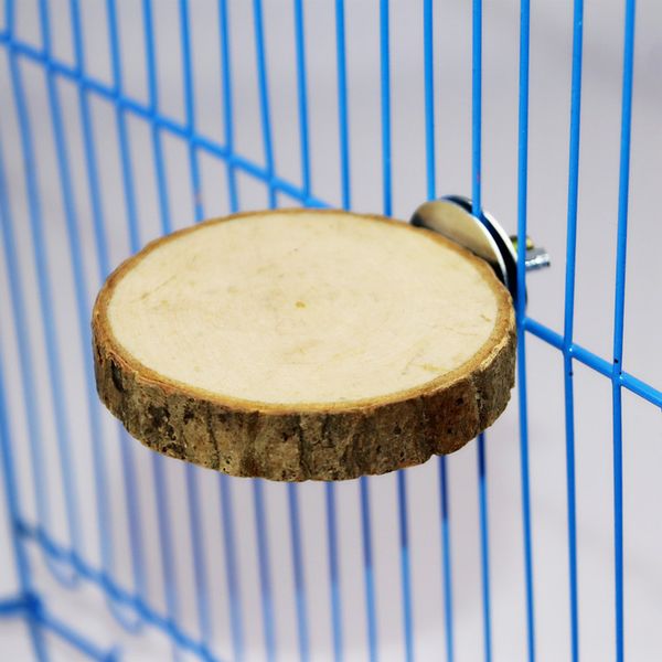 squirrel dragon cat crosscutting / miter wooden pier springboard parrot station plate bird diving platform
squirrel dragon cat crosscutting / miter wooden pier springboard parrot station plate bird diving platform