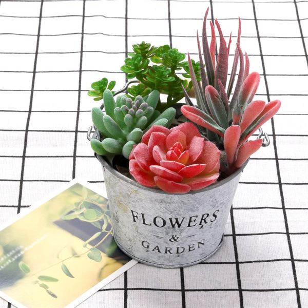 6pcs artificial succulent party decorative fake plant faux succulent landscape lotus flower arrange for home garden table decors
6pcs artificial succulent party decorative fake plant faux succulent landscape lotus flower arrange for home garden table decors