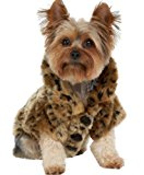 generic luxury pet dogs coat leopard faux fur jacket winter clothes (m
generic luxury pet dogs coat leopard faux fur jacket winter clothes (m