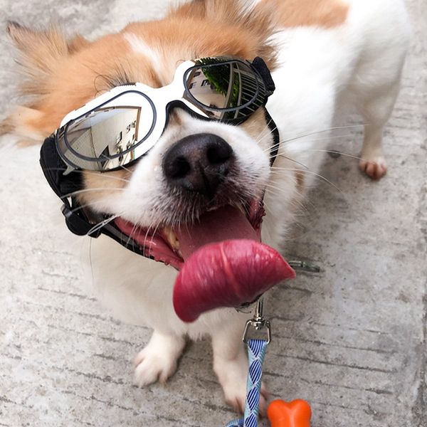 botique-stylish and fun pet/dog puppy uv goggles sunglasses waterproof protection sun glasses for dog
botique-stylish and fun pet/dog puppy uv goggles sunglasses waterproof protection sun glasses for dog