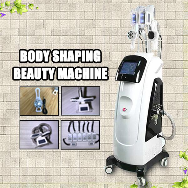 professional 2 cryo handles fat ing liposuction laser cryotherapy lipo fat ing cryo machine for slimming ce approved
professional 2 cryo handles fat ing liposuction laser cryotherapy lipo fat ing cryo machine for slimming ce approved