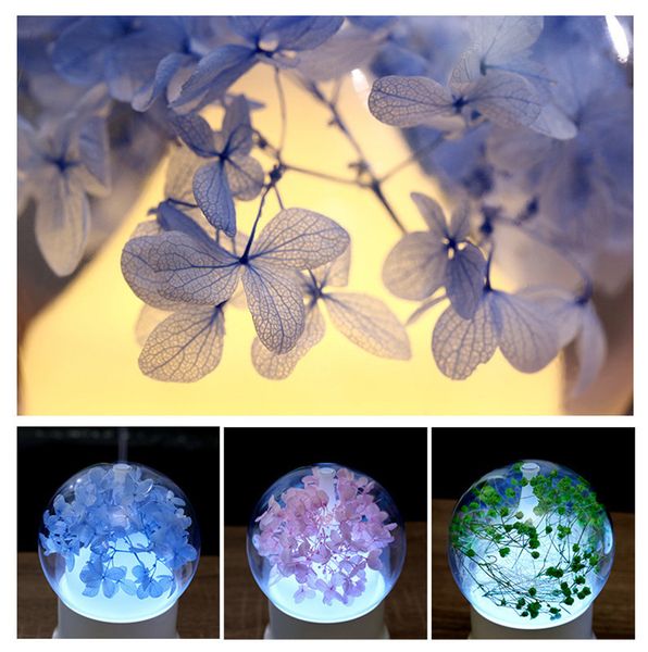 gypsophila everlasting flower led aromatherapy diffuser essential oil aroma diffuser maker air humidifier 4 styles
gypsophila everlasting flower led aromatherapy diffuser essential oil aroma diffuser maker air humidifier 4 styles
