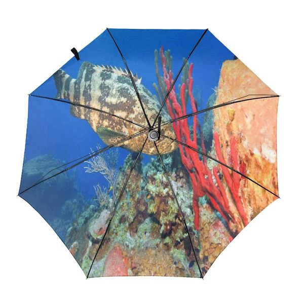grouper creative men's and women's automatic three fold umbrella rainy day colorful fashion umbrella
grouper creative men's and women's automatic three fold umbrella rainy day colorful fashion umbrella