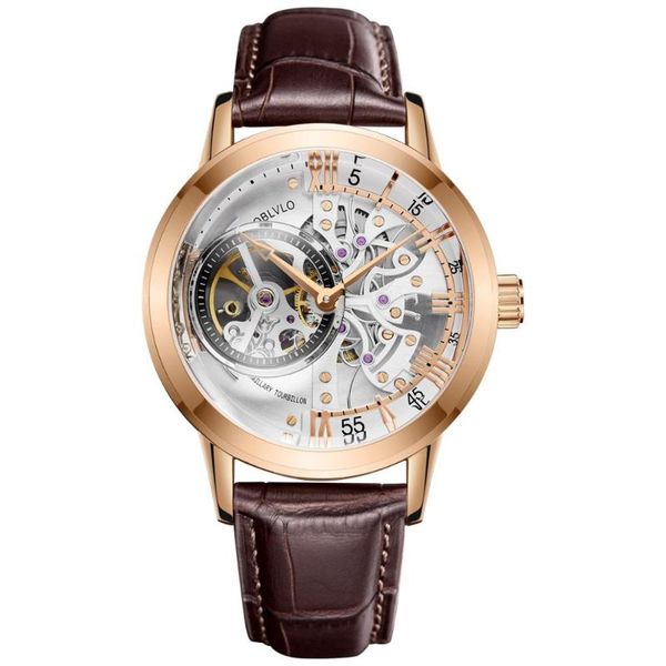 men automatic watch,mens watches oblvlo man 50m waterproof skeleton mechanical wristwatch punk sport fashion relogio vm 1, Slivery;brown
men automatic watch,mens watches oblvlo man 50m waterproof skeleton mechanical wristwatch punk sport fashion relogio vm 1, Slivery;brown