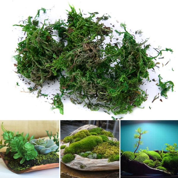 lovely dried artificial moss lining decor flower hanging baskets gardening crafts hogard oc31
lovely dried artificial moss lining decor flower hanging baskets gardening crafts hogard oc31