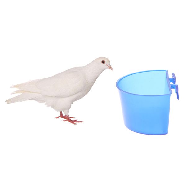 10 pcs bird pigeon semi-circular hanging water feed cups feeder for cage