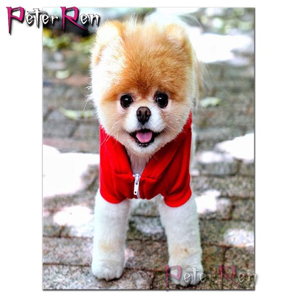 red dress puppy 5d diy diamond painting animal full square/round diamond embroidery dog picture of rhinestones crafts gift decor
red dress puppy 5d diy diamond painting animal full square/round diamond embroidery dog picture of rhinestones crafts gift decor