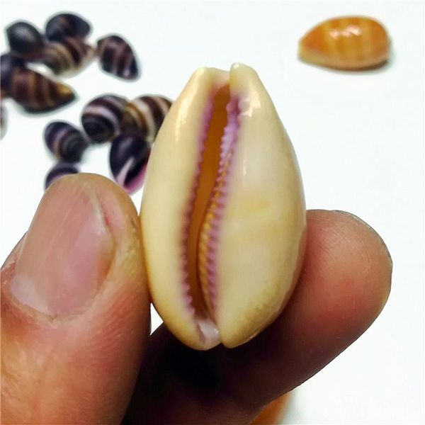 природные rare раковины раковины lyncina carneola сбор snail fish tank аквариум озеленение домашнее украшение другие home decor
природные rare раковины раковины lyncina carneola сбор snail fish tank аквариум озеленение домашнее украшение другие home decor