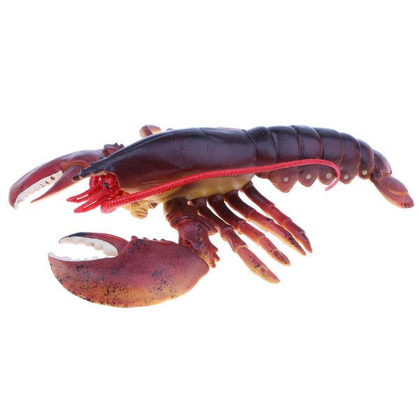 9 inch realistic marine animal model figurines, red color lobster action figure toy for kids, science educational toy, collection
9 inch realistic marine animal model figurines, red color lobster action figure toy for kids, science educational toy, collection