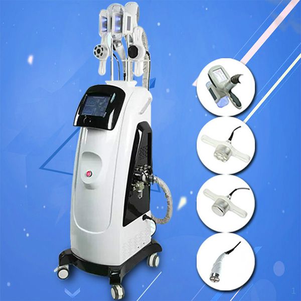 cryolipolysis with 2 handle cryolipolysis system weight loss slimming machine fat frozen 2 fat ing handlepieces
cryolipolysis with 2 handle cryolipolysis system weight loss slimming machine fat frozen 2 fat ing handlepieces