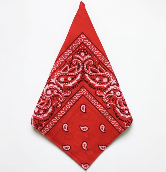cotton paisley hip hop bandanas magic headscarf riding mask tube neck face headscarves sport magic headband wristband
cotton paisley hip hop bandanas magic headscarf riding mask tube neck face headscarves sport magic headband wristband