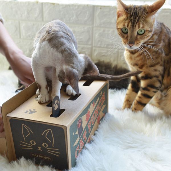 toy supplies interactive mole mice game toy diy mouse up puzzle for cats treat exercise cat toys
toy supplies interactive mole mice game toy diy mouse up puzzle for cats treat exercise cat toys