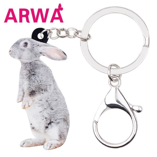 arwa acrylic easter hare keychains key chain holder big cute animal jewelry for women girls bag wallet charms gift, Silver
arwa acrylic easter hare keychains key chain holder big cute animal jewelry for women girls bag wallet charms gift, Silver