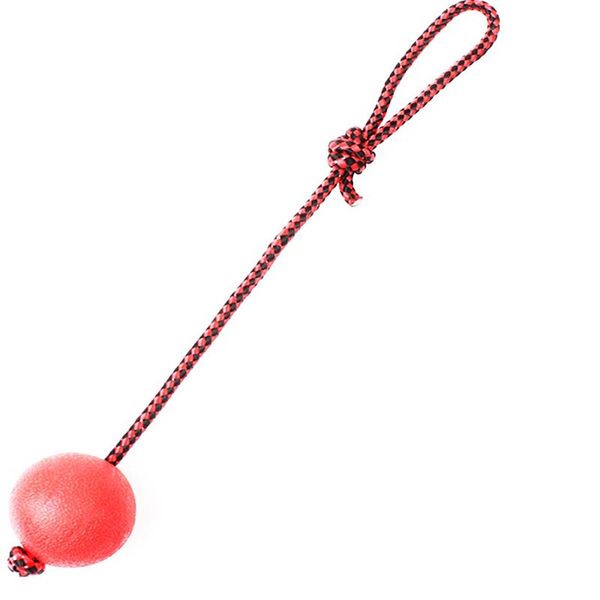 резиновые игрушки для собак бала собак веревка игрушки животных продукты funny ball балл avec une корд собака шары игрушки интерактивных дом
резиновые игрушки для собак бала собак веревка игрушки животных продукты funny ball балл avec une корд собака шары игрушки интерактивных дом