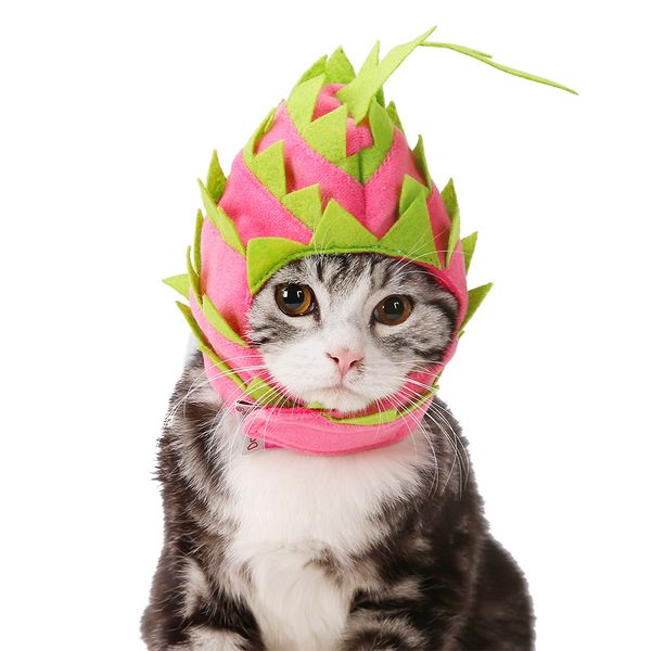 cat puppy dog fruit dress hat dragon fruit shape pet headgear party clothing accessories head-wear adjustable hook and loop
cat puppy dog fruit dress hat dragon fruit shape pet headgear party clothing accessories head-wear adjustable hook and loop