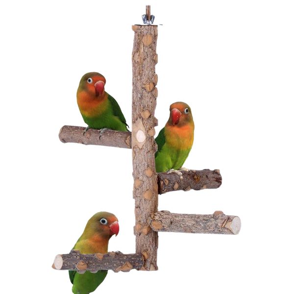 beau-bird cage perch birdcage stands parrot cage play stands wooden branches for conure parakeet budgie
beau-bird cage perch birdcage stands parrot cage play stands wooden branches for conure parakeet budgie