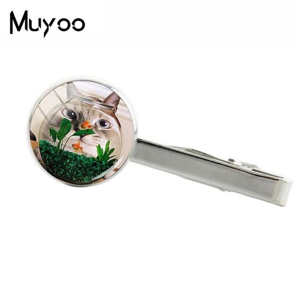 new cat and fish tie clip glass dome cabochon clips art hand craft p jewelry high quality, Silver
new cat and fish tie clip glass dome cabochon clips art hand craft p jewelry high quality, Silver