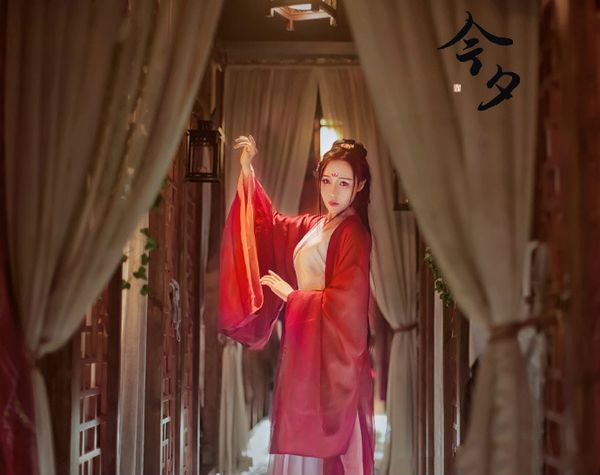 traditional women's dress tang dynasty sewing hanfu dress middle ancient suit, Black;red
traditional women's dress tang dynasty sewing hanfu dress middle ancient suit, Black;red
