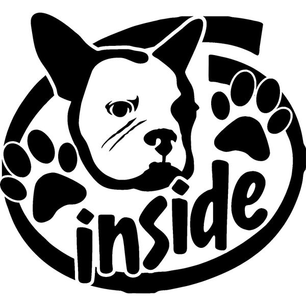 16.4*15cm dog inside vinyl decal sticker animal car truck car accessories cute and interesting fashion sticker decal
16.4*15cm dog inside vinyl decal sticker animal car truck car accessories cute and interesting fashion sticker decal