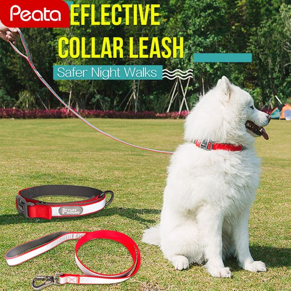 pet reflective nylon dog collar and leash set small medium big dog collar pets rope leads adjustable cute harness y
pet reflective nylon dog collar and leash set small medium big dog collar pets rope leads adjustable cute harness y