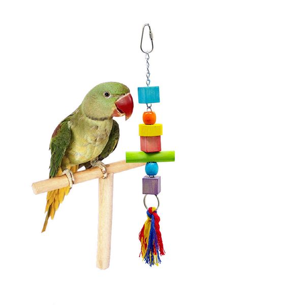 string woodiness a molar tooth toys swing stand frame small favour and put sb. in important position product nibbling of cotton rope toys
string woodiness a molar tooth toys swing stand frame small favour and put sb. in important position product nibbling of cotton rope toys