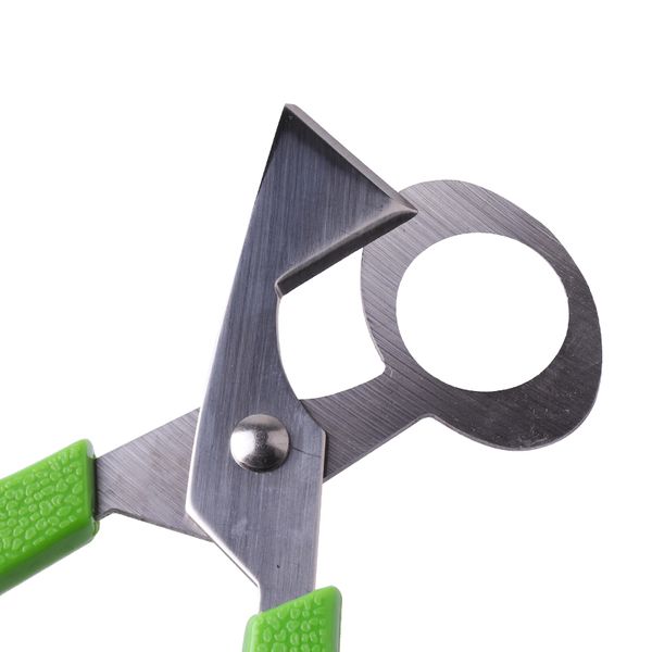 1pcs quail egg scissor bird cutter opener egg slicers home kitchen housewife tool clipper accessories gadgets convenience
1pcs quail egg scissor bird cutter opener egg slicers home kitchen housewife tool clipper accessories gadgets convenience