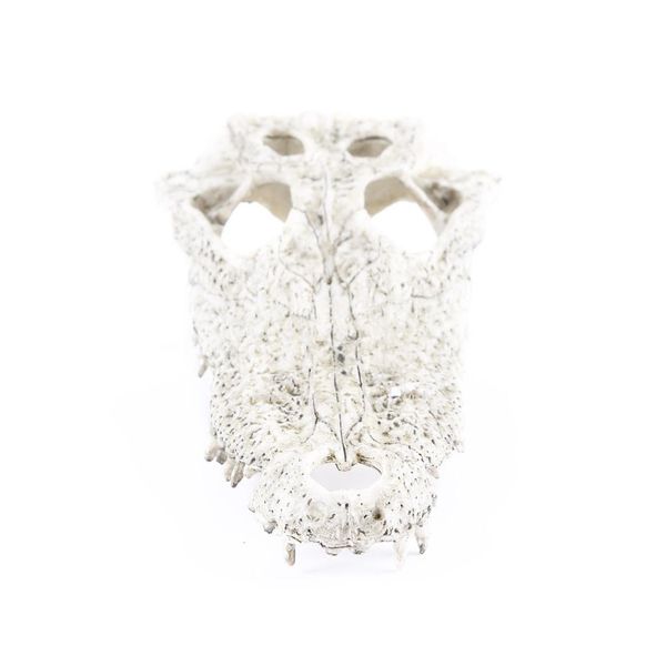 mini resin spooky skull models aquarium ornaments fish tank reptile terrarium underwater crafts
mini resin spooky skull models aquarium ornaments fish tank reptile terrarium underwater crafts