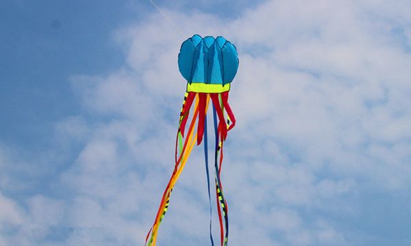 3d jellyfish kite soft kite quality tearproof easy to fly outdoor sports flying toy children gift single line long tail kite
3d jellyfish kite soft kite quality tearproof easy to fly outdoor sports flying toy children gift single line long tail kite